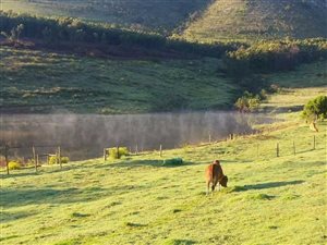 450 ha Farm in Elandsrivier