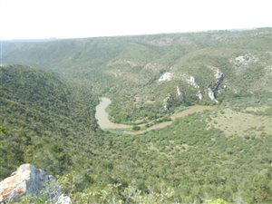 1425 ha Farm in Grahamstown