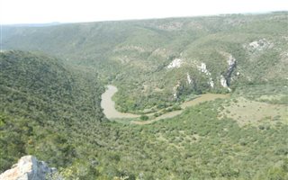 1425 ha Farm in Grahamstown