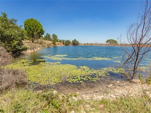 30 ha Farm in Paarl