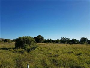 1288 m² Land available in La Camargue