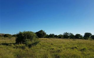 1288 m² Land available in La Camargue