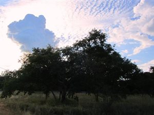 1924 m² Land available in Onverwacht