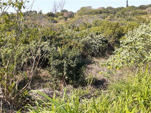 1763 m² Land available in Port Shepstone