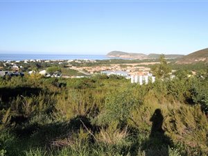1100 m² Land available in Whale Rock