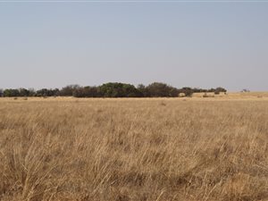 686 ha Farm in Mafikeng