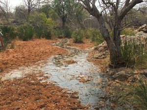 5001 ha Farm in Louis Trichardt