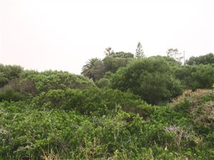 964 m² Land available in Pearly Beach