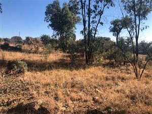 1.2 ha Land available in Eikenhof