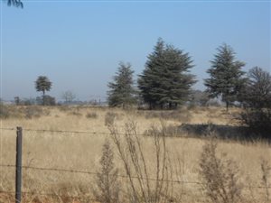 8.2 ha Farm with House in Henley on Klip