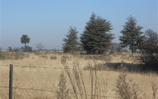 8.2 ha Farm with House in Henley on Klip