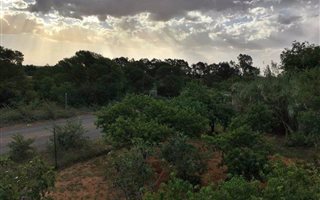 2.1 ha Farm in Spitskop