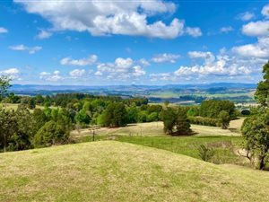 20 ha Farm in Balgowan