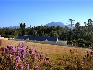 985 m² Land available in Kraaibosch