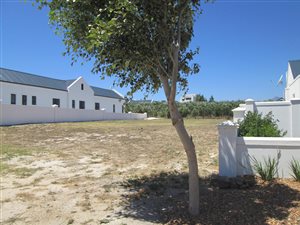 648 m² Land available in Croydon Olive Estate