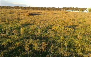 2.1 ha Land available in Long Acres