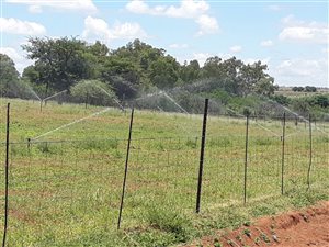 2.5 ha Farm in Grootvlei