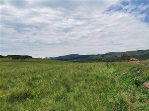 33 ha Land available in Cedarville
