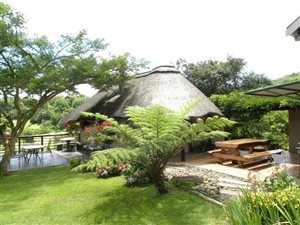13 Bed House in Winterton