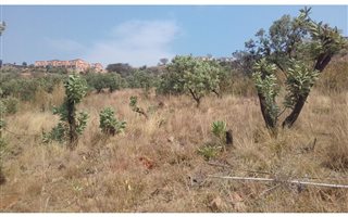 2.5 ha Land available in Poortview