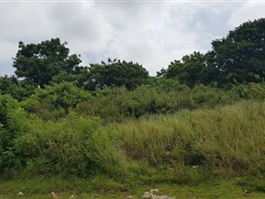 462 m² Land available in Verulam