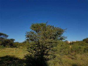 1284 m² Land available in La Camargue