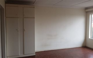 Bachelor apartment in Lewisham