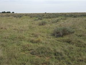 2 ha Land available in Delmas