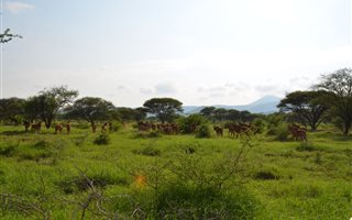 1470 ha Farm in Thabazimbi