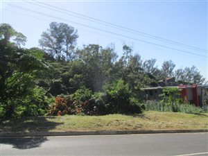 1823 m² Land available in Desainagar