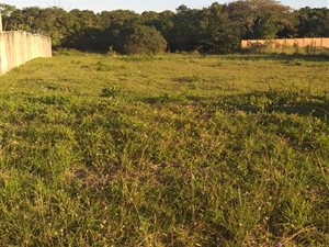 1215 m² Land available in Birdswood