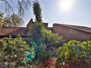 5 Bed House in Silverton