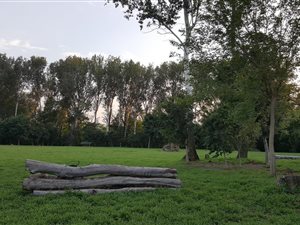 1 ha Farm in Skeerpoort