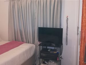 Bachelor apartment in Shelly Beach