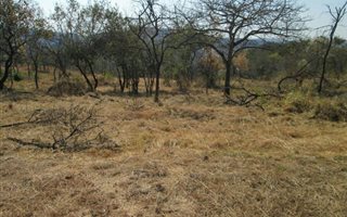 1938 m² Land available in Drum Rock