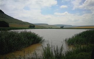 7235 ha Farm in Harrismith