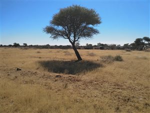 3955 m² Land available in Kimberley