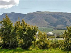 78 ha Farm in Stanford