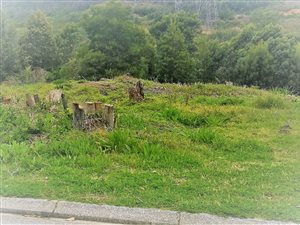 828 m² Land available in Green Pastures