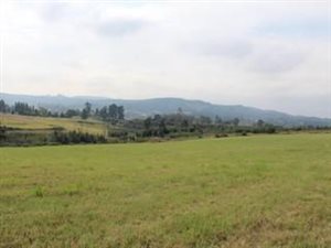 25 ha Land available in Tweedie