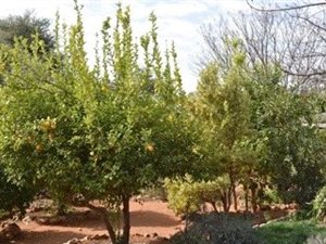 1255 ha Farm in Kathu