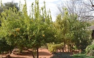 1255 ha Farm in Kathu