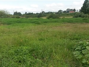 1400 m² Land available in Camperdown