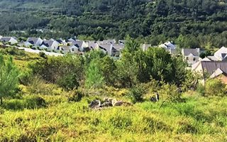 904 m² Land available in Green Pastures