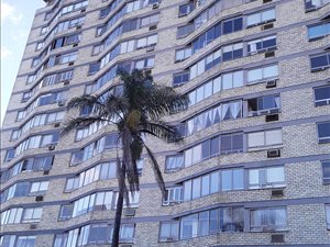 1 Bedroom Apartment in Essenwood
