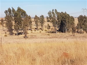 1.4 ha Land available in Rietvlei View