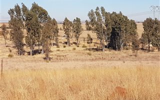 1.4 ha Land available in Rietvlei View