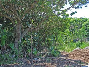 1050 m² Land available in Leisure Bay