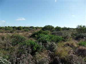 375 m² Land available in Fountains Estate