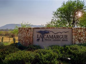 1277 m² Land available in La Camargue